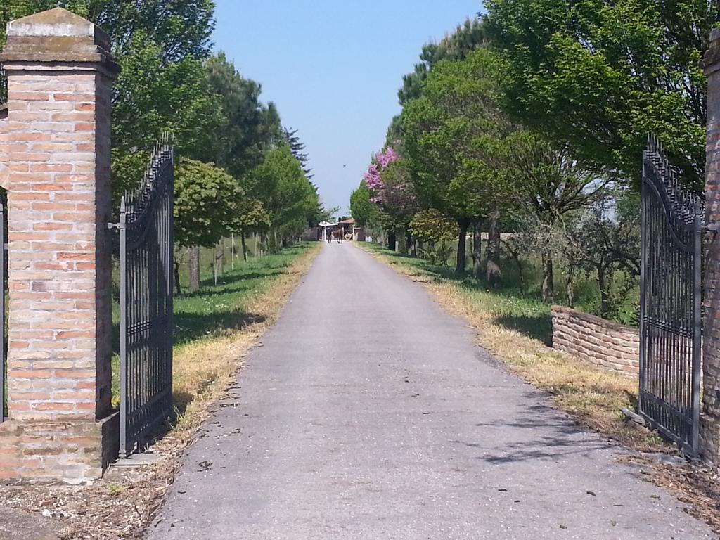 Agriturismo L'Angelina Villa Alfonsine Eksteriør bilde