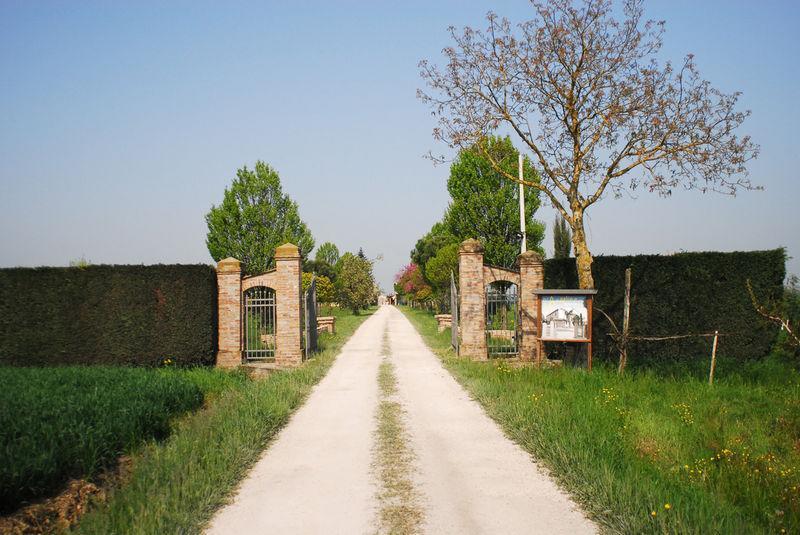 Agriturismo L'Angelina Villa Alfonsine Eksteriør bilde